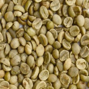 Arabica Coffee Screen