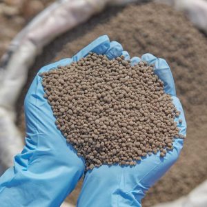 DAP fertilizer