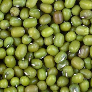 Green Mung Beans