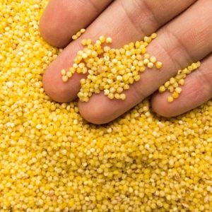 Millet
